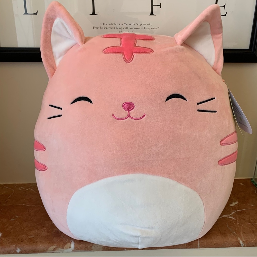Squishmallows 16” PAULITA THE PINK CAT 🐱 NWT 🎁